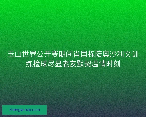 玉山世界公开赛期间肖国栋陪奥沙利文训练捡球尽显老友默契温情时刻