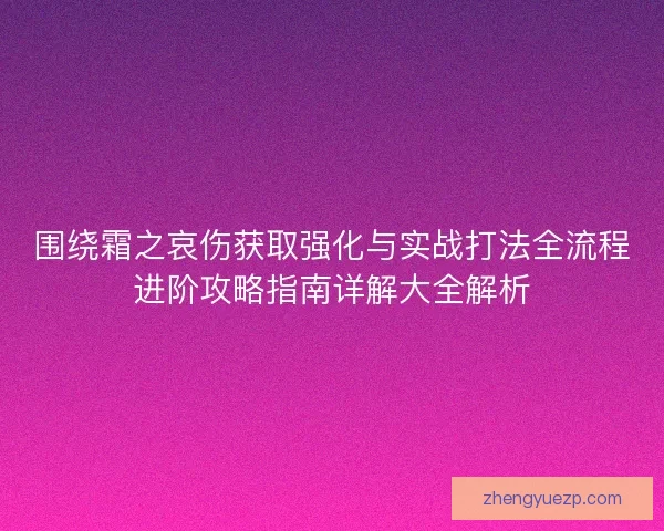 围绕霜之哀伤获取强化与实战打法全流程进阶攻略指南详解大全解析