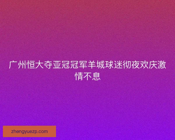 广州恒大夺亚冠冠军羊城球迷彻夜欢庆激情不息
