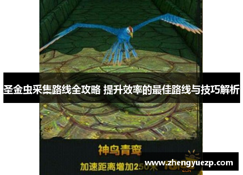 圣金虫采集路线全攻略 提升效率的最佳路线与技巧解析